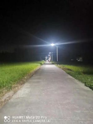 12 Volt 50 Watts Integrated LED Street Light Outside 7M Single Arm Pole