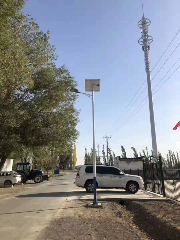 12 Volt 50 Watts Integrated LED Street Light Outside 7M Single Arm Pole